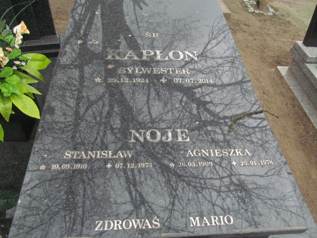 Stanisław Noje 1910 Wronki Św. Katarzyny - Grobonet - Wyszukiwarka osób pochowanych