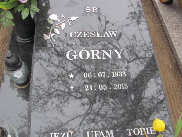 Czesław Górny 1933 Wronki Św. Katarzyny - Grobonet - Wyszukiwarka osób pochowanych