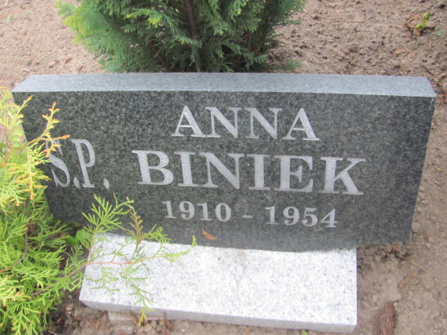 Anna Biniek 1909 Wronki Św. Katarzyny - Grobonet - Wyszukiwarka osób pochowanych