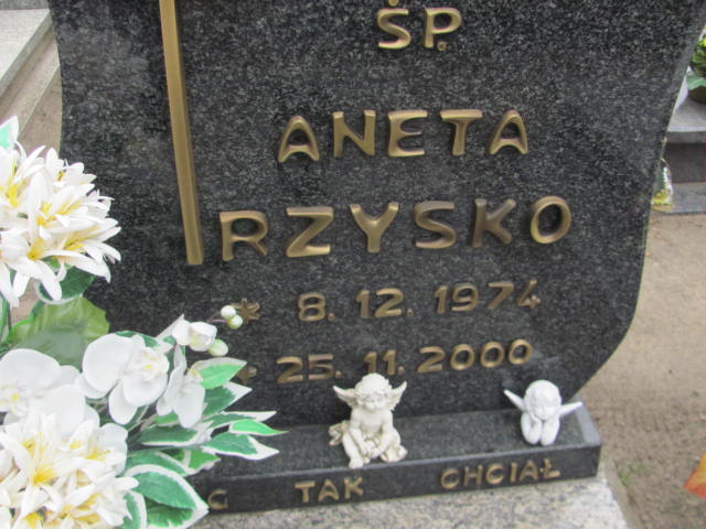 Aneta Rzysko 1974 Wronki Św. Katarzyny - Grobonet - Wyszukiwarka osób pochowanych