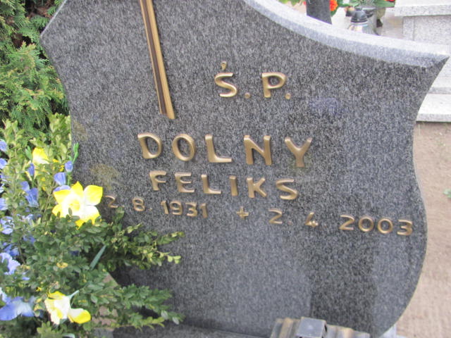 Feliks Dolny 1931 Wronki Św. Katarzyny - Grobonet - Wyszukiwarka osób pochowanych