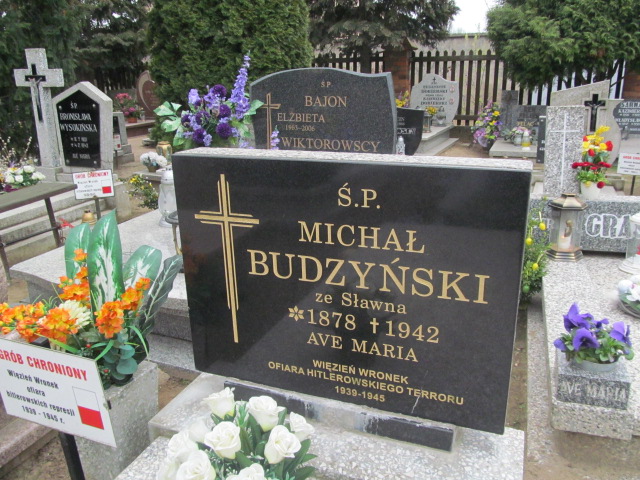 Michał Budzyński 1877 Wronki Św. Katarzyny - Grobonet - Wyszukiwarka osób pochowanych