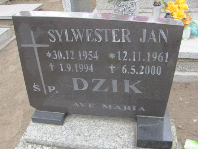 Sylwester Dzik 1954 Wronki Św. Katarzyny - Grobonet - Wyszukiwarka osób pochowanych