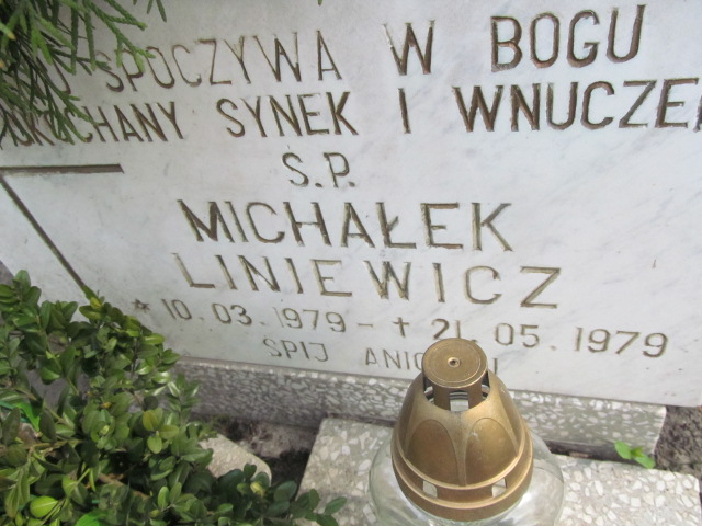 Michał Liniewicz 1979 Wronki Św. Katarzyny - Grobonet - Wyszukiwarka osób pochowanych